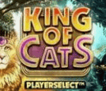slot gacor King of Cats